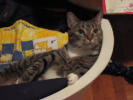 Ethel says 'Excuse me?'