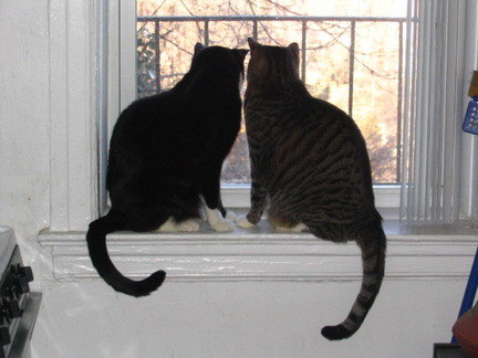 All together now: 'Awwwwwww...'